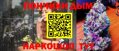 гашик Малоярославец