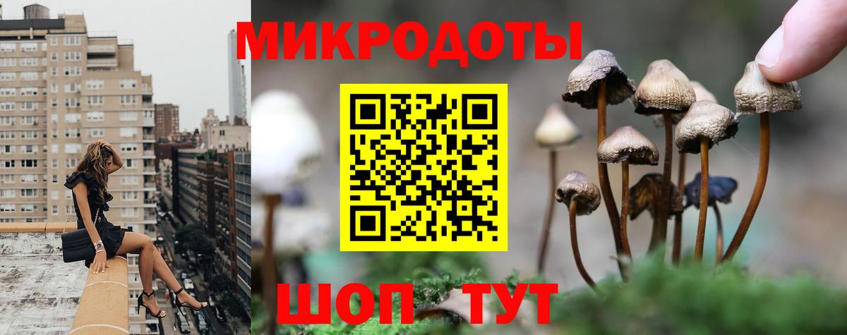 Югорск  Псилоцибиновые грибы MAGIC MUSHROOMS  Вход с VPN 